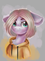 Size: 1200x1600 | Tagged: safe, artist:falafeljake, oc, oc only, oc:lazzy butt, species:pony, bust, clothing, solo