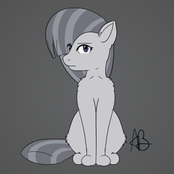 Size: 2160x2160 | Tagged: safe, artist:mranthony2, character:marble pie, cat, catified, female, fluffy, looking at you, simple background, sitting, solo, species swap, stern