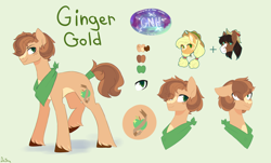 Size: 3880x2347 | Tagged: safe, artist:darlyjay, character:applejack, character:trouble shoes, oc, oc:ginger gold, parent:applejack, parent:trouble shoes, parents:troublejack, species:earth pony, species:pony, male, offspring, reference sheet, solo focus, stallion