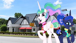 Size: 5000x2824 | Tagged: safe, artist:disneymarvel96, edit, character:princess celestia, character:princess luna, species:pony, episode:between dark and dawn, g4, my little pony: friendship is magic, alternate hairstyle, bow tie, clothing, colonel sanders, hair bun, hawaiian shirt, irl, kentucky, kfc, photo, ponies in real life, ponytail, ribbon, sanders cafe, shirt, string tie, vector, vector edit
