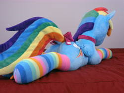 Size: 3968x2976 | Tagged: safe, artist:qtpony, character:rainbow dash, species:pony, bow, butt, choker, clothing, dock, female, irl, photo, plot, plushie, socks, solo, striped socks, tail bow