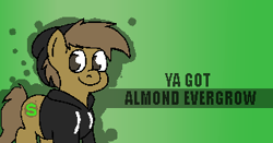 Size: 321x168 | Tagged: safe, artist:almond evergrow, oc, oc only, oc:almond evergrow, species:earth pony, species:pony, banned from equestria daily, meme, solo
