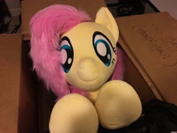 Size: 4032x3024 | Tagged: safe, artist:natureshy, artist:qtpony, character:fluttershy, species:pony, box, cute, irl, life size, photo, plushie, pony in a box, shyabetes