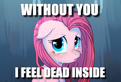 Size: 608x414 | Tagged: safe, artist:c-puff, edit, character:pinkamena diane pie, character:pinkie pie, caption, image macro, looking at you, sad, text