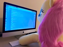 Size: 1280x960 | Tagged: safe, artist:natureshy, artist:qtpony, character:fluttershy, species:pony, computer, cute, discord (software), faux fur, female, fluffy, irl, life size, photo, plushie, shyabetes, typing