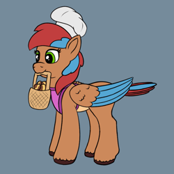 Size: 811x811 | Tagged: safe, artist:redquoz, oc, oc:allegra mazarine, species:bird, species:pegasus, species:pony, apron, basket, bird pone, chef's hat, clothing, colored sketch, hat, sketch, solo, two toned mane, two toned wings, wings