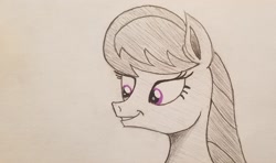Size: 2048x1213 | Tagged: safe, artist:polar_storm, character:octavia melody, species:earth pony, species:pony, female, mare, purple eyes, simple background, sketch, solo, traditional art