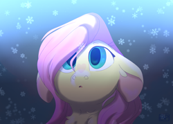 Size: 2800x2000 | Tagged: safe, artist:glitterstar2000, character:fluttershy, species:pony, bust, cute, ear fluff, female, floppy ears, high res, mare, neck fluff, portrait, shyabetes, snow, snowflake, solo, winter