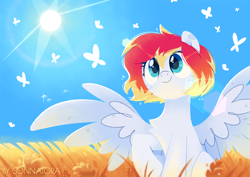 Size: 1414x1000 | Tagged: safe, artist:sonnatora, oc, oc:spectrum beam, species:pegasus, species:pony, butterfly, chest fluff, female, field, mare, outdoors, pegasus oc, raised hoof, scenery, sitting, sky, smiling, solo, spread wings, sun, three quarter view, wings