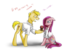 Size: 1280x901 | Tagged: safe, artist:28gooddays, character:pinkamena diane pie, character:pinkie pie, species:pony, clothing, cyrillic, gordon ramsay, ponified, russian, shirt, translated in the description