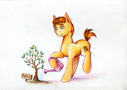 Size: 750x530 | Tagged: safe, artist:asimos, oc, oc only, oc:saint max, sapling, solo, traditional art, tree, watering can