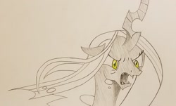 Size: 2048x1233 | Tagged: safe, artist:polar_storm, character:queen chrysalis, species:changeling, species:pony, angry, changeling queen, female, mare, monochrome, palindrome get, partial color, simple background, sketch, solo, traditional art, white background