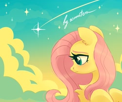 Size: 1565x1311 | Tagged: safe, artist:sonnatora, character:fluttershy, species:pegasus, species:pony, female, shooting star, solo