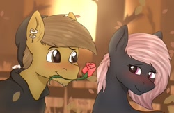 Size: 1200x784 | Tagged: safe, artist:almond evergrow, oc, oc only, oc:almond evergrow, oc:siren shadowstone, species:earth pony, species:pony, autumn, blushing, clothing, couple, cute, female, fence, flower, flower in mouth, holiday, hoodie, lidded eyes, male, mare, mare and stallion, romantic, rose, rose in mouth, shipping, sirond, stallion, straight, sunset, tree, valentine's day