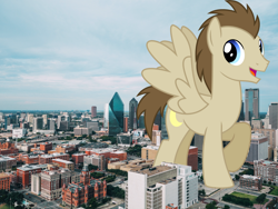 Size: 3840x2880 | Tagged: safe, artist:chainchomp2 edit, artist:jerryakiraclassics19, character:mane moon, species:pegasus, species:pony, building, city, crescent pony, dallas, giant pegasus, giant ponies in real life, giant pony, highrise ponies, irl, macro, male, mega giant, photo, ponies in real life, spread wings, wings