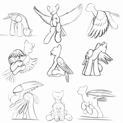 Size: 1000x1001 | Tagged: safe, artist:redquoz, species:bird, species:pegasus, species:pony, bird pone, black and white, drinking, eating hay, fluffy, flying, grayscale, grooming, landing, monochrome, no face, perching, preening, sketch, sketch dump, tail feathers, unusual perspective
