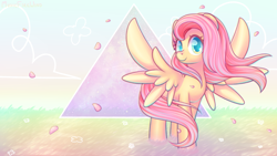 Size: 1920x1080 | Tagged: safe, artist:wavecipher, character:fluttershy, species:pegasus, species:pony, cute, female, flower, grass, head turn, looking at you, mare, petals, serenity, shyabetes, smiling, solo, spread wings, standing, wallpaper, windswept mane, wings