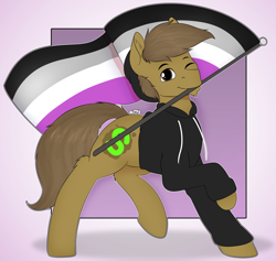 Size: 7481x7086 | Tagged: safe, artist:almond evergrow, oc, oc:almond evergrow, species:earth pony, species:pony, ace, asexual pride flag, asexuality, beanie, clothing, flag, hat, hoodie, male, pose, pride, pride flag, pride month, proud, stallion