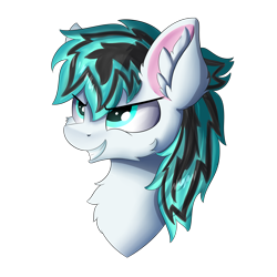 Size: 5000x5000 | Tagged: safe, artist:lunar froxy, oc, oc only, oc:light jet, species:pegasus, species:pony, bust, commission, male, simple background, solo, stallion, transparent background