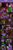Size: 2496x9800 | Tagged: safe, artist:seventozen, character:rainbow dash, character:spike, character:twilight sparkle, comic:rocket to insanity, fanfic:rocket to insanity, ship:twidash, comic, fanfic, fanfic art, grimdark series, grotesque series, shipping