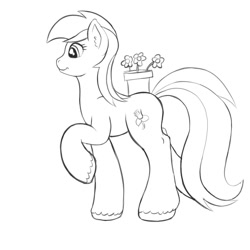 Size: 2000x2000 | Tagged: safe, artist:redquoz, character:roseluck, species:earth pony, species:pony, newbie artist training grounds, atg 2020, background pony, cutie mark, female, flower, flower pot, rose, sketch, solo
