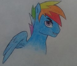 Size: 2048x1742 | Tagged: safe, artist:public mistake, character:rainbow dash, species:pegasus, species:pony, bust, male, rainbow blitz, rule 63, smiling, solo, stallion, traditional art