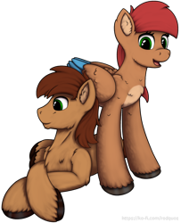 Size: 1000x1232 | Tagged: safe, artist:redquoz, oc, oc only, oc:allegra mazarine, oc:red bark, species:earth pony, species:pegasus, species:pony, g4, blue feather, brown feathers, brown mane, colored hooves, cream feathers, crossed hooves, earth pony oc, feather, female, fluffy, green eyes, looking at you, looking away, male, mare, open mouth, pegasus oc, red mane, scruffy, simple background, smiling at you, stallion, standing over, transparent background, two toned wings, url, watermark, wings