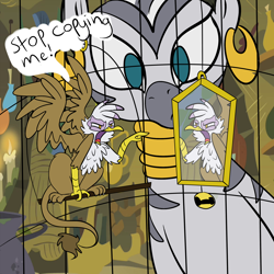 Size: 2000x2000 | Tagged: safe, artist:ponygoggles, character:gilda, character:zecora, species:griffon, species:zebra, angry, behaving like a bird, birdcage, birds doing bird things, cage, catbird, female, funny, funny as hell, gildakeet, glare, griffons doing bird things, high res, micro, mirror, no pupils, open mouth, pointing, sitting, size difference, spread wings, wings