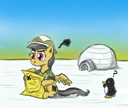 Size: 850x721 | Tagged: safe, artist:fadri, character:daring do, species:pegasus, species:penguin, species:pony, female, igloo, lost, map, solo