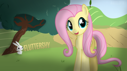 Size: 1920x1080 | Tagged: safe, artist:awolgfx, artist:stabzor, edit, character:angel bunny, character:fluttershy, species:pony, vector, wallpaper, wallpaper edit