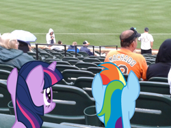 Size: 1280x960 | Tagged: safe, artist:kysss90, artist:legate47, artist:sairoch, character:rainbow dash, character:twilight sparkle, species:human, baltimore orioles, baseball, cap, clothing, hat, irl, mlb, oriole park at camden yards, photo, ponies in real life, seat, stadium, vector