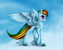 Size: 1200x960 | Tagged: safe, artist:asimos, character:rainbow dash, feather, female, hooves, solo, unshorn fetlocks