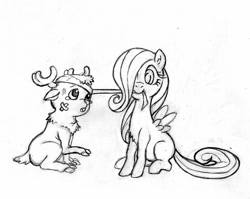 Size: 802x638 | Tagged: safe, artist:irie-mangastudios, character:fluttershy, species:reindeer, bandage, crossover, fawn, filly, monochrome, one piece, pencil drawing, tony tony chopper