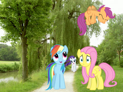 Size: 1018x758 | Tagged: safe, artist:acer-rubrum, artist:baumkuchenpony, artist:exe2001, artist:schrodinger-excidium, artist:stabzor, character:fluttershy, character:rainbow dash, character:rarity, character:scootaloo, species:pegasus, species:pony, female, filly, flying, foal, irl, mare, photo, ponies in real life, river, scootaloo can fly, stream, tree, vector, walkway, weeping willow
