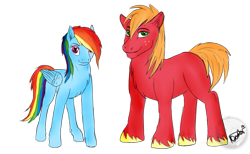 Size: 731x449 | Tagged: safe, artist:karmadash, character:big mcintosh, character:rainbow dash, species:earth pony, species:pony, ship:rainbowmac, looking at you, male, shipping, smiling, stallion, straight, unshorn fetlocks