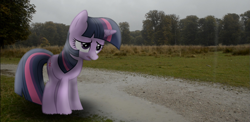 Size: 1141x558 | Tagged: safe, artist:kanadrawsarts, artist:thatguy1945, character:twilight sparkle, species:pony, species:unicorn, irl, overcast, pathway, photo, ponies in real life, shadow, solo