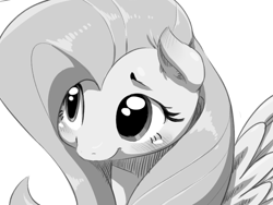 Size: 800x600 | Tagged: safe, artist:sunibee, character:fluttershy, blushing, cute, female, grayscale, monochrome, shyabetes, solo