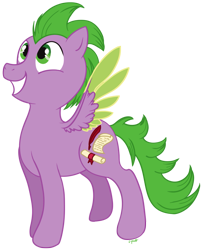 Size: 675x825 | Tagged: safe, artist:c-puff, character:spike, species:pegasus, species:pony, grin, male, ponified, ponified spike, simple background, smiling, solo, species swap, transparent background