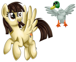 Size: 847x684 | Tagged: safe, artist:iheartjapan789, character:wild fire, ponysona, species:bird, species:duck, species:mallard, species:pegasus, species:pony, duo, female, flying, looking down, looking up, male, mare, op, open mouth, signature, simple background, smiling, that pony sure does love ducks