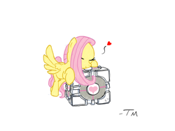 Size: 1024x768 | Tagged: safe, artist:tanmansmantan, character:fluttershy, companion cube, crossover, female, portal (valve), solo