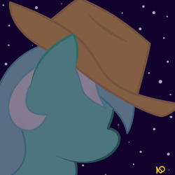 Size: 1000x1000 | Tagged: safe, artist:yuradhear, character:lyra heartstrings, clothing, cowboy hat, female, hat, night, profile, solo