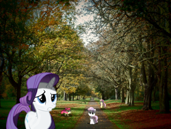 Size: 1024x768 | Tagged: safe, artist:felix-kot, artist:richhap, artist:theever, character:apple bloom, character:fluttershy, character:rarity, character:sweetie belle, species:human, bench, irl, pathway, photo, ponies in real life, shadow, tree, vector