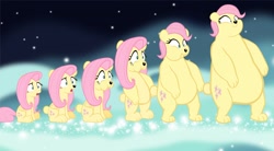 Size: 1280x704 | Tagged: safe, artist:megarainbowdash2000, character:fluttershy, animorphs, bear, bearified, flutterbear, open mouth, solo, species swap, transformation, transformation sequence, vector, wide eyes