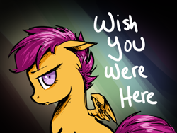 Size: 800x600 | Tagged: safe, artist:xarakayx, character:scootaloo, species:pegasus, species:pony, abandoned, implied scootabuse, pink floyd, sad, wish you were here