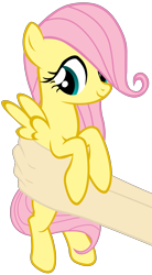 Size: 3667x6625 | Tagged: safe, artist:justisanimation, character:fluttershy, species:human, species:pony, cute, female, filly, filly fluttershy, hand, holding a pony, justis holds a pony, looking away, shyabetes, simple background, smiling, solo, transparent background
