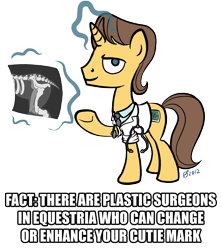 Size: 1024x1152 | Tagged: safe, artist:derkrazykraut, character:doctor horse, character:doctor stable, cutie mark, simple background, transparent background, trivia, x-ray, x-ray picture