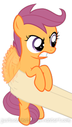Size: 3653x6389 | Tagged: safe, artist:justisanimation, character:scootaloo, species:human, species:pegasus, species:pony, angry, cute, flapping, glare, gritted teeth, hand, holding a pony, i'm not cute, justis holds a pony, put me down, scootaloo is not amused, simple background, solo focus, transparent background