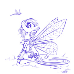 Size: 1000x1000 | Tagged: safe, artist:pimander1446, oc, oc only, dragonfly, monochrome, solo