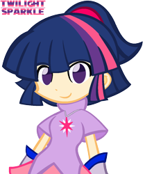 Size: 910x1086 | Tagged: dead source, safe, artist:ikuntyphoon, character:twilight sparkle, species:human, cute, cutie mark on clothes, female, humanized, ponytail, puyo puyo, simple background, smiling, solo, transparent background