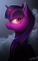Size: 914x1469 | Tagged: safe, artist:the1xeno1, character:twilight sparkle, character:twilight sparkle (alicorn), species:alicorn, species:pony, female, solo